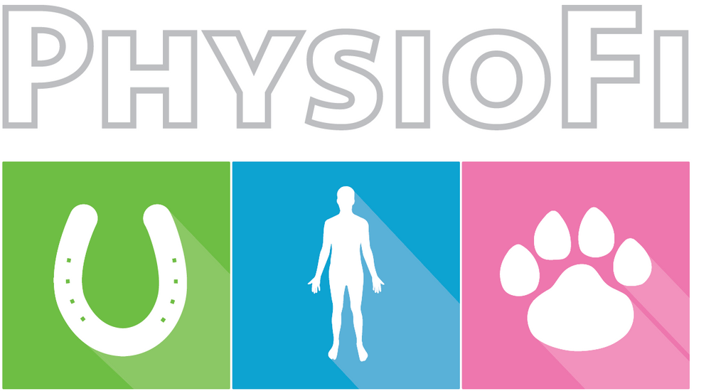 Physiofi Physiofi